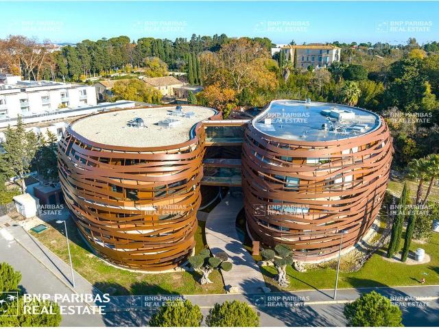 Bureau vente à Montpellier