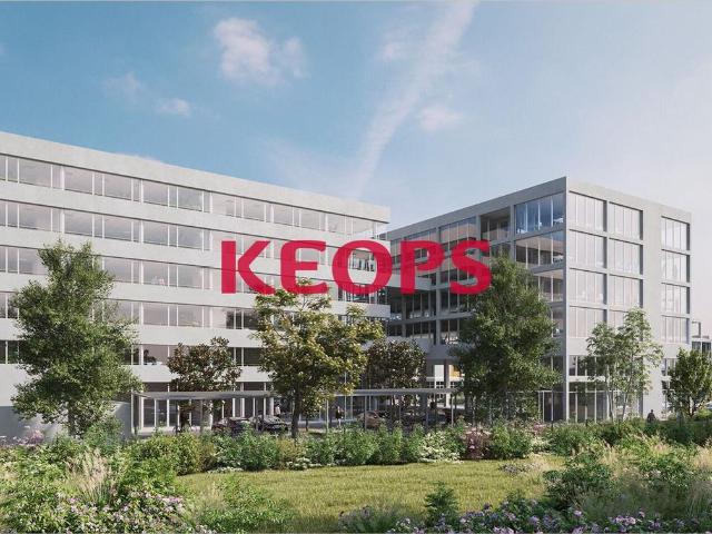 Bureau vente à Toulouse