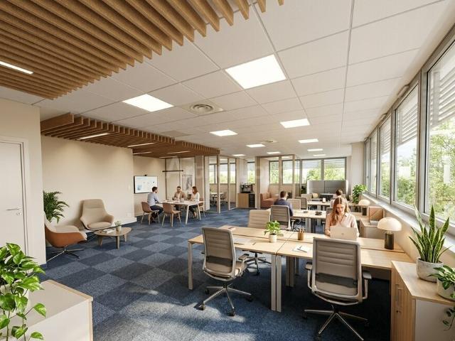 Bureau vente à Strasbourg, Schiltigheim