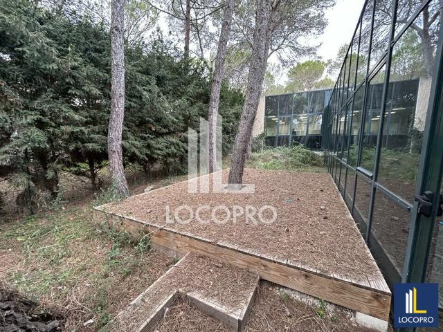 Bureau vente à Parc de Haute Technologie de la Font de l'Orme, Mougins