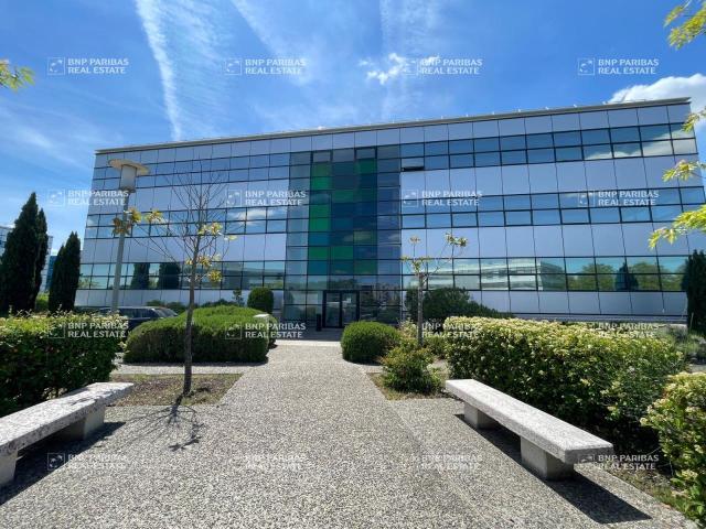 Bureau vente à Toulouse