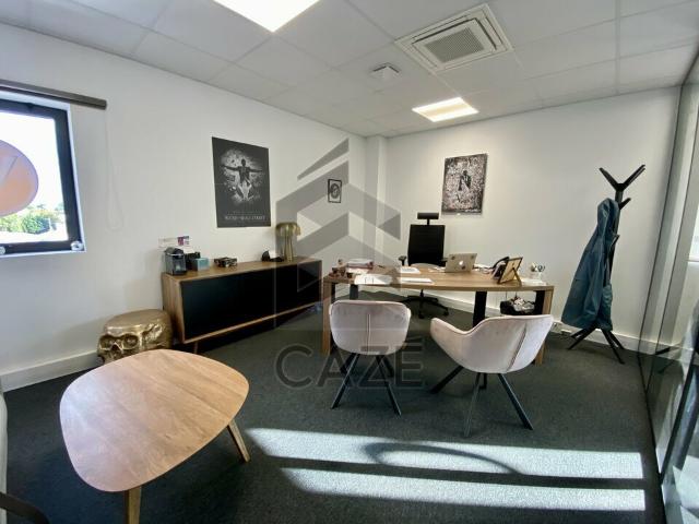 Bureau vente à Bordeaux, Tresses