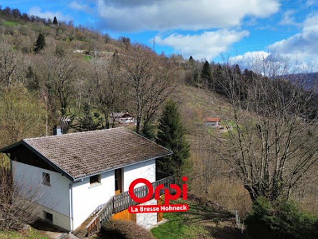 Maison vente à La Bresse, Vosges