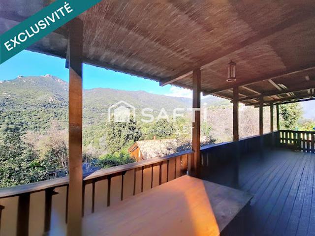 Maison vente à Ajaccio, Cannelle