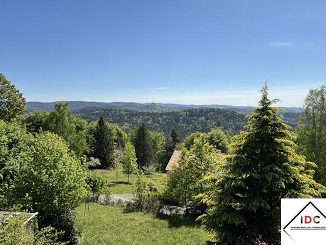 Maison vente à Sarrebourg-Château-Salins, Dabo