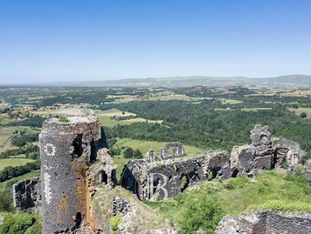 Château vente à La Nicollerie, Fayet-le-Château
