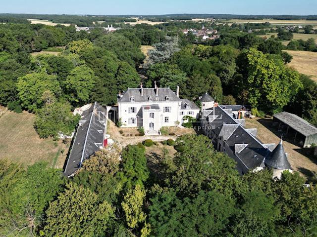 Château vente à Le Blanc