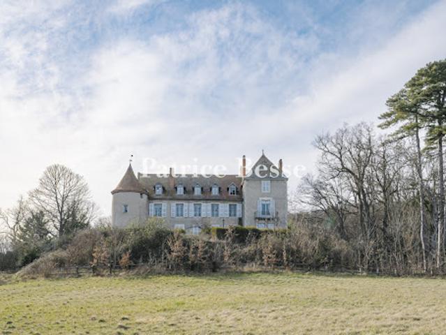 Château vente à Vichy