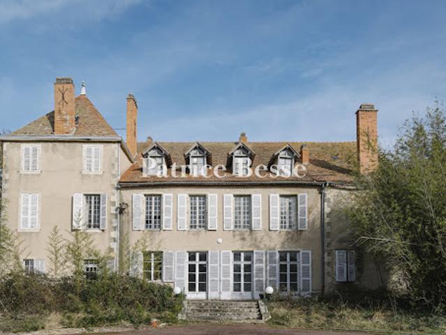 Château vente à Vichy