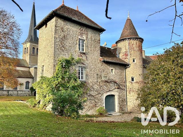 Château vente à Pagney