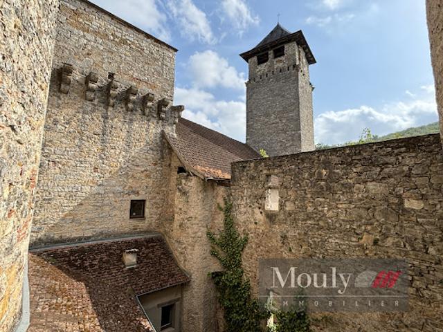 Château vente à Salvagnac-Cajarc, Aveyron