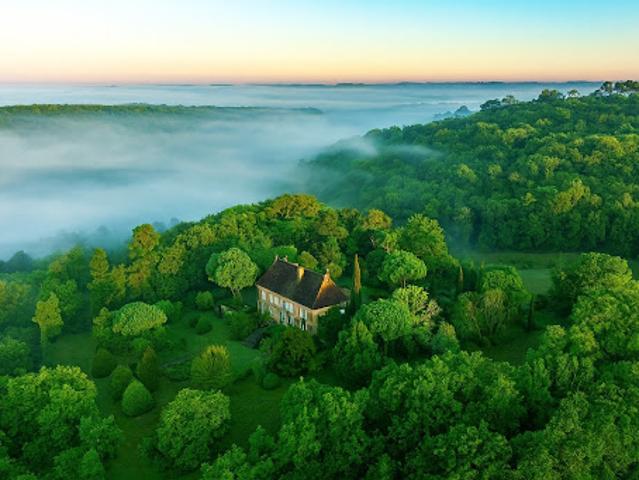 Château vente à France métropolitaine, Paunat