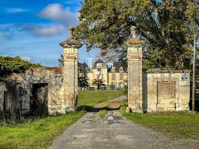 Château vente à Rigny, Saint-Léger-de-Montbrun