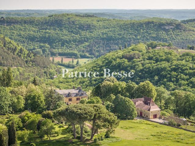 Château vente à Sarlat-la-Canéda, Castelnaud-la-chapelle