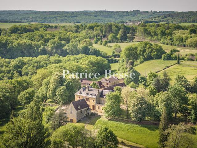 Château vente à Sarlat-la-Canéda, Castelnaud-la-chapelle