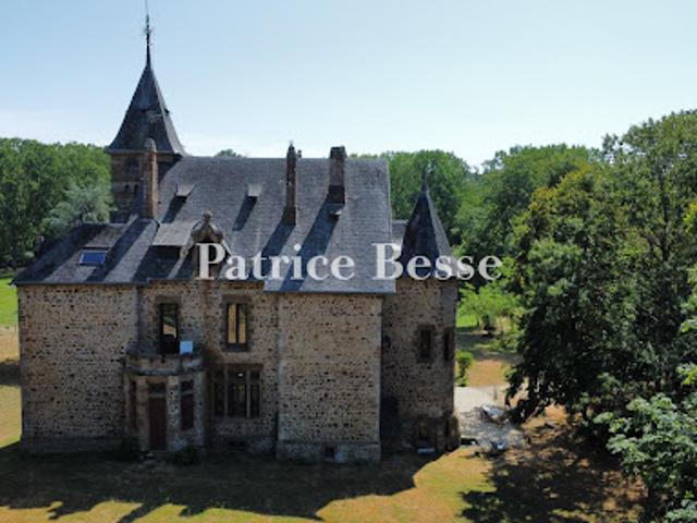 Château vente à Mayenne