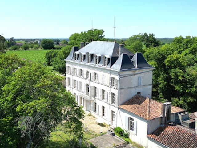 Château vente à Cognac, Segonzac