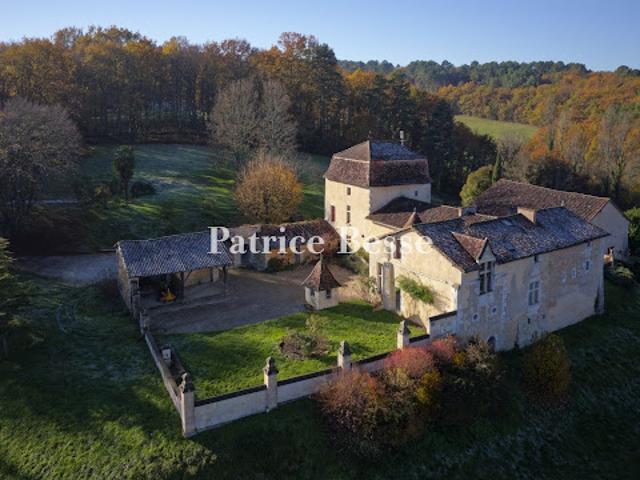 Château vente à Périgueux