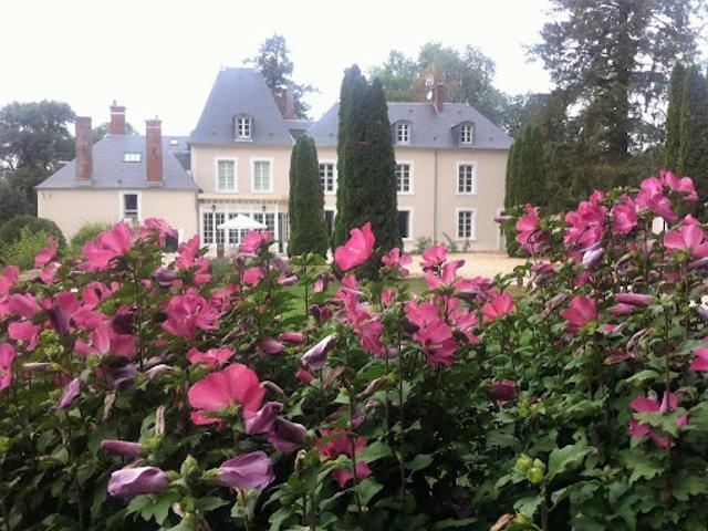 Château vente à Vierzon, Ivoy-le-pré
