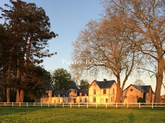 Château vente à Segré