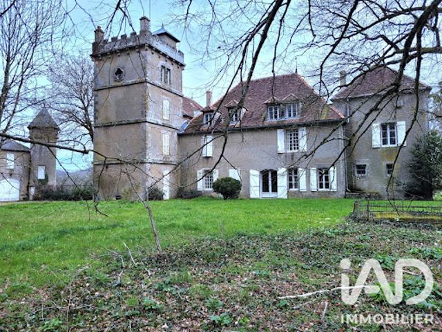 Château vente à Le Petit Mérot, Laizy