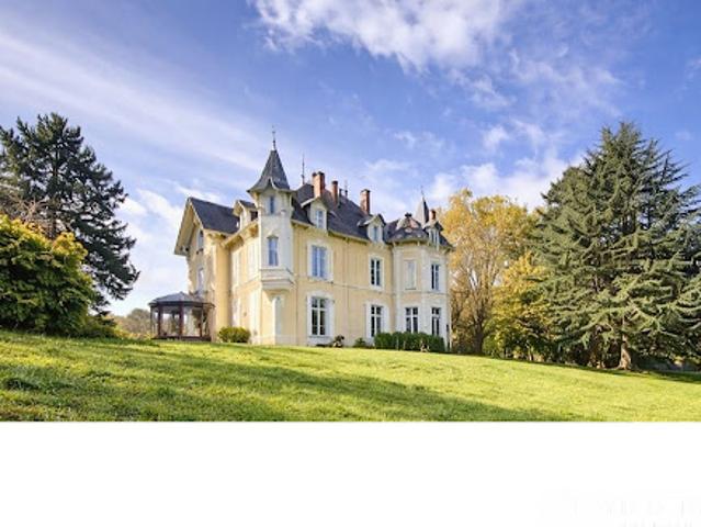 Château vente à Saint-Étienne, Saint-julien-molin-molette
