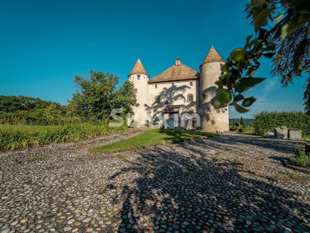 Château vente à Thonon-les-Bains, Fessy
