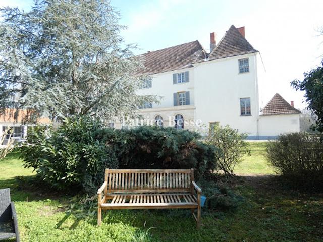 Château vente à Roanne