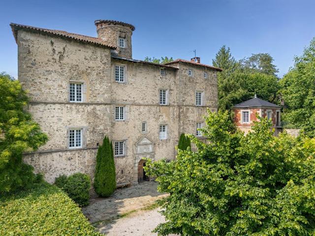 Château vente à Saint-héand, La Ronzière