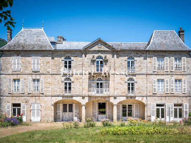 Château vente à Mauriac, Ydes