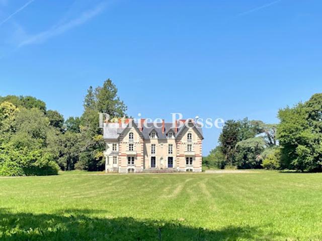 Château vente à Segré, Pouancé