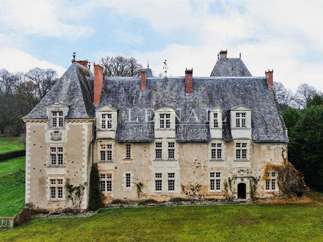 Château vente à Segré, Le Lion-d'angers
