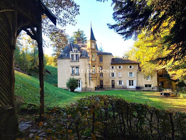 Château vente à La Tour-du-Pin, Bourgoin-jallieu