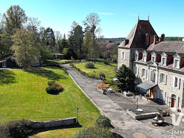 Château vente à Dole, Pagney