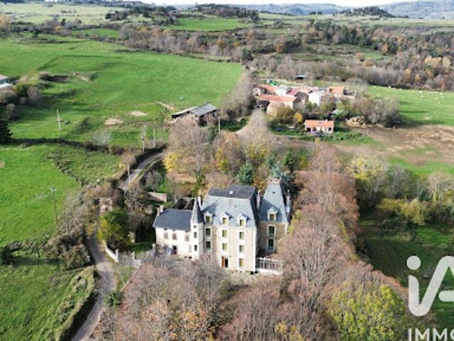 Château vente à Issoire, Ardes