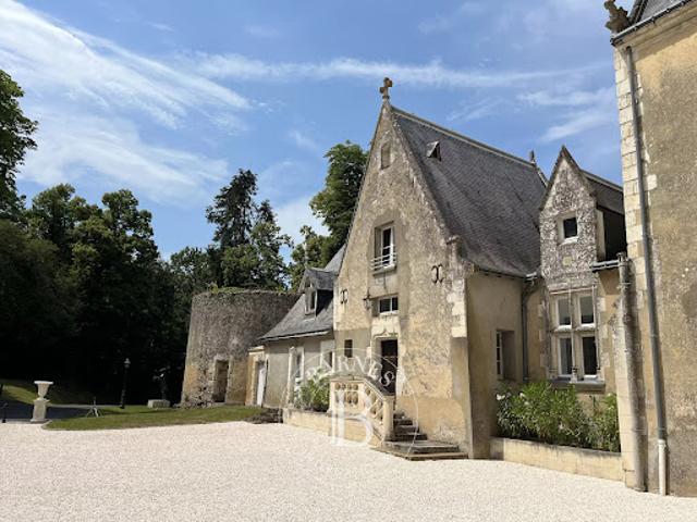 Château vente à La Flèche, Château-du-loir