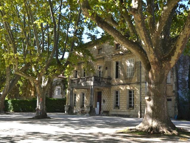 Château vente à Carpentras, Bollène