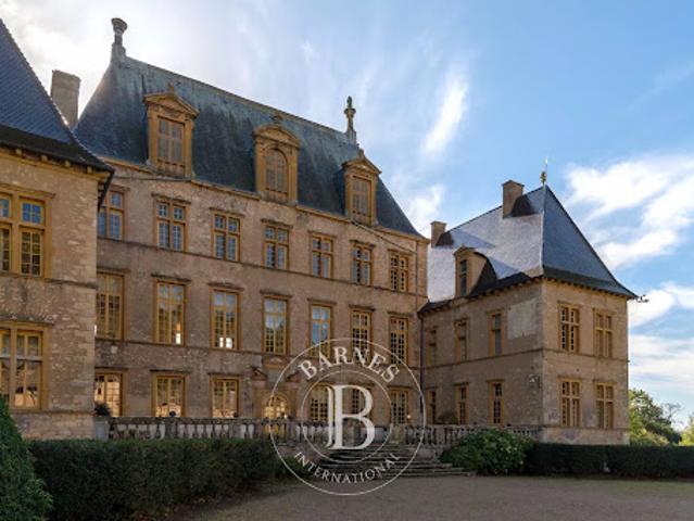 Château vente à Bourg-en-Bresse, Fareins