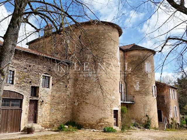 Château vente à Mâcon