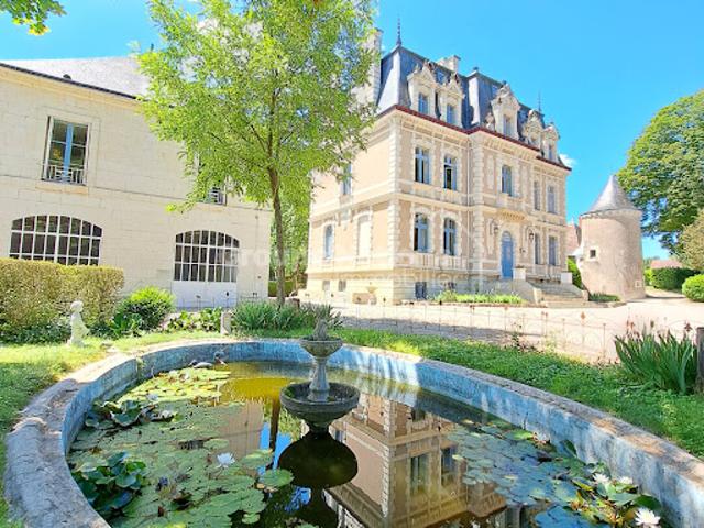 Château vente à Chinon, L'ile-bouchard