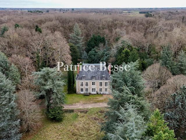 Château vente à Le Parc, Cellettes
