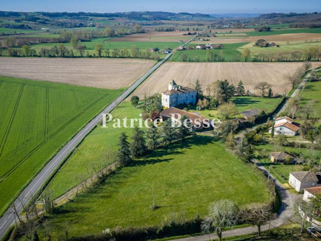 Château vente à Castelsarrasin, Goudourville