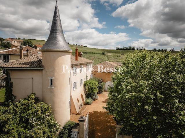 Château vente à Villefranche-sur-Saône, Rhône