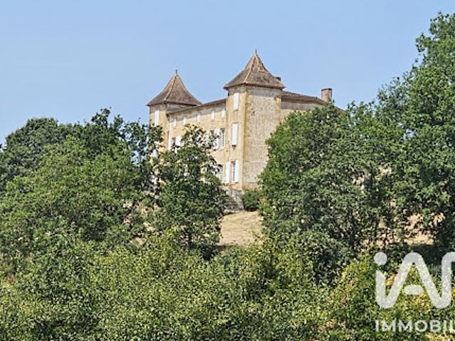 Château vente à Villeneuve-sur-Lot, Condezaygues