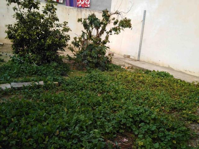 Maison vente à Siliana Sud