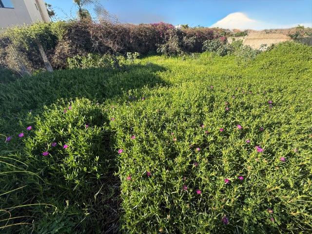 Terrain vente à El Harhoura