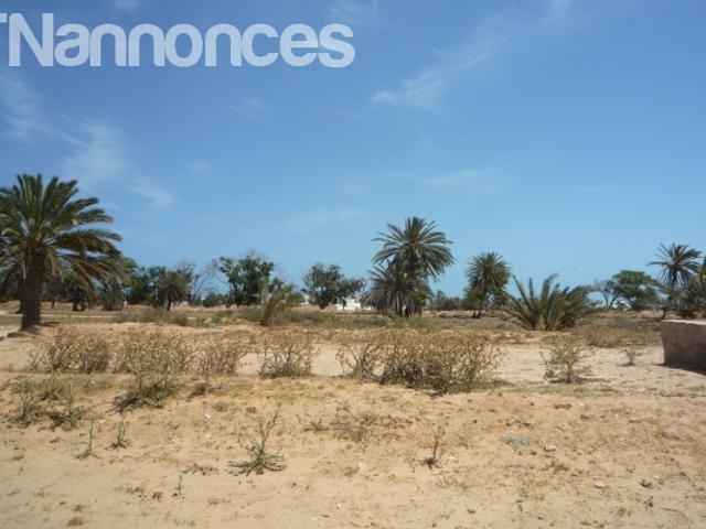 Terrain location