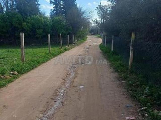 Propriété vente à Sidi Hajjaj, Gharb-Chrarda-Beni Hssen