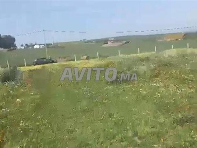 Propriété vente à El Ma, Gharb-Chrarda-Beni Hssen