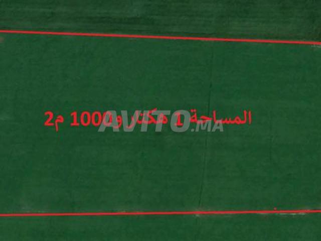 Propriété vente à El Ma, Gharb-Chrarda-Beni Hssen